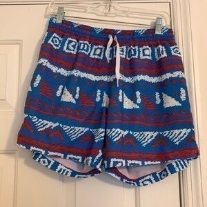 Chubbies bathing suit size M